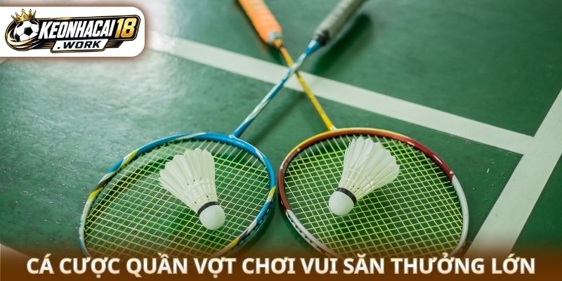 Cá cược quần vợt chơi vui săn thưởng lớn