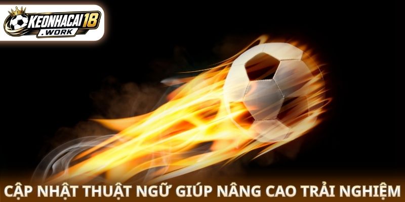 Cập nhật thuật ngữ giúp nâng cao trải nghiệm
