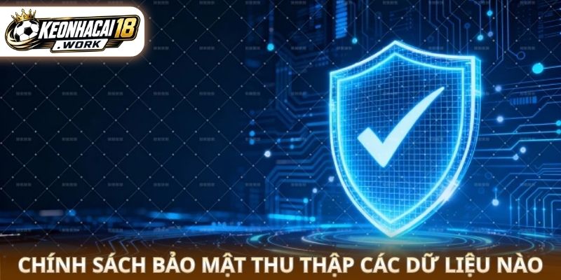 Chính sách bảo mật thu thập các dữ liệu nào