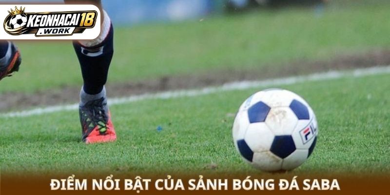 Điểm nổi bật của sảnh bóng đá Saba