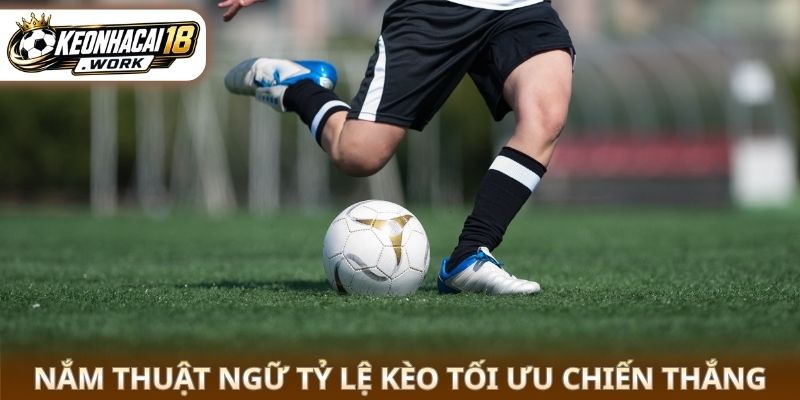Nắm thuật ngữ tỷ lệ kèo tối ưu chiến thắng
