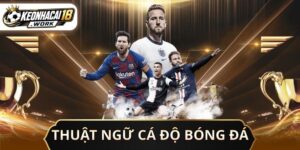 Thuật Ngữ Cá Độ Bóng Đá