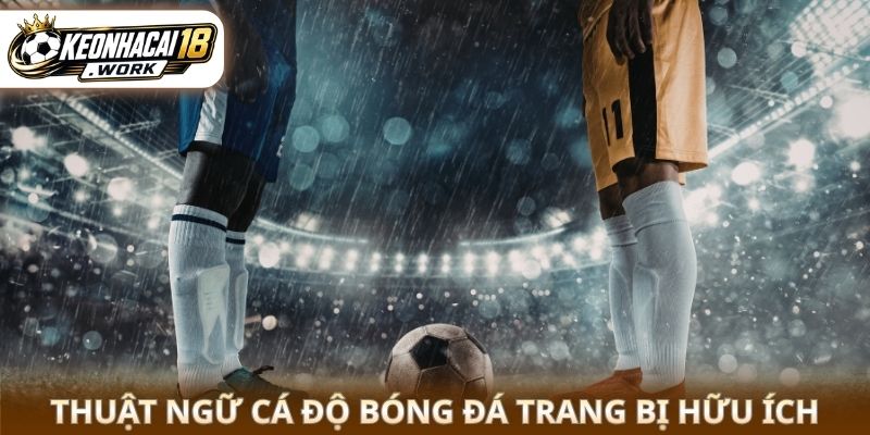 Thuật ngữ cá độ bóng đá trang bị hữu ích
