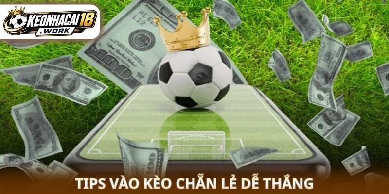 Tips vào kèo chẵn lẻ dễ thắng